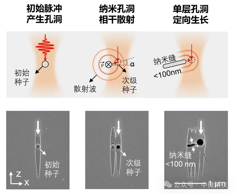 纳米孔洞的相干散射现象
